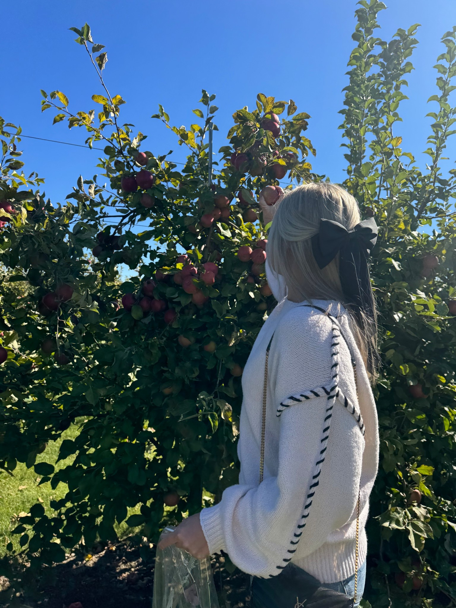 Sweater & a cute bow is the perfect apple picking outfit 🎀🍎

#LTKStyleTip #LTKFindsUnder50 #LTKSeasonal