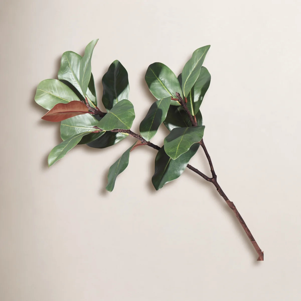 Artificial Magnolia Leaf Sprays (Set of 2) | Wayfair North America