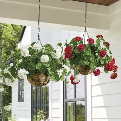 Geranium Hanging Basket | Grandin Road