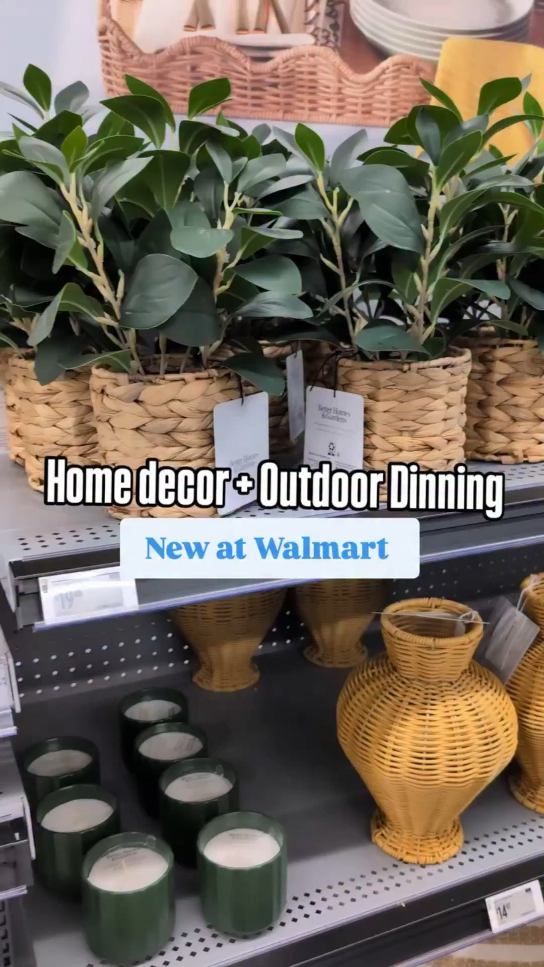 New @betterhomesandgardens collection at @walmart ! I loved the melamine outdoor dining essentials! Perfect for cookouts, BBQs and picnics.
The faux plants and candles are cute too along with the drinkware( plastic)


Summer living, Walmart run, scented candles, pitcher, entertaining guests, house party, memorial day weekend, Fourth of July, outdoor decor, platter, tumbler,

#LTKHome #LTKSeasonal #LTKfoodie