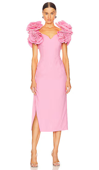 Ifede Dres in Pink | Revolve Clothing (Global)