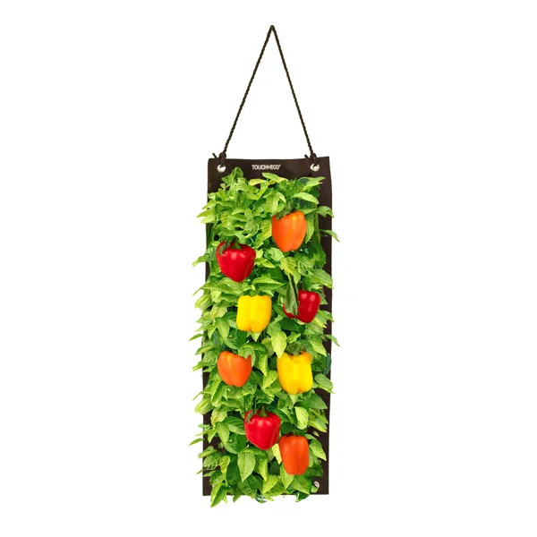 Organic Hanging Sweet Pepper Growing Kit | Wayfair North America