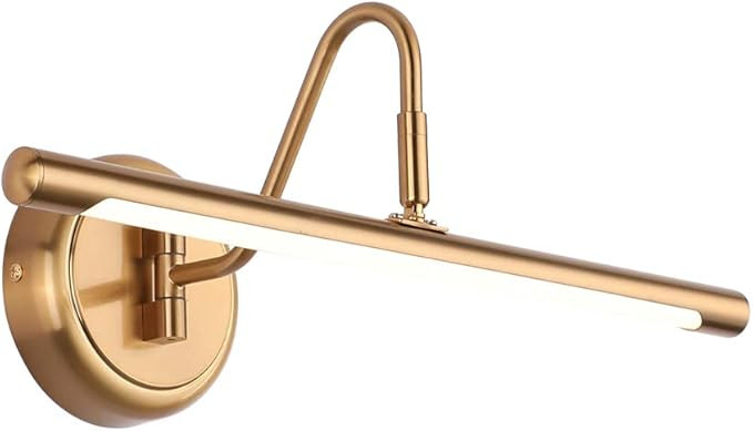 Modern Picture Lights 16.54'' Inch Brass for Painting Display Wall, Metal Artwork LED Wall Lamp,9... | Amazon (US)