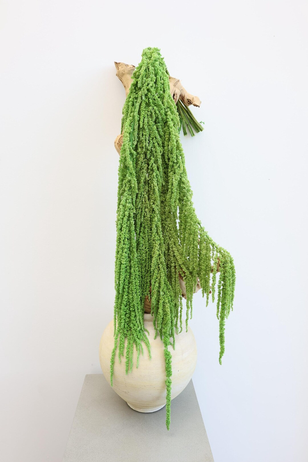 Amaranthus Hanging Preserved, Amaranthus, Hanging Amaranthus, Hanging Flowers, Wedding Decor, Hom... | Etsy (US)
