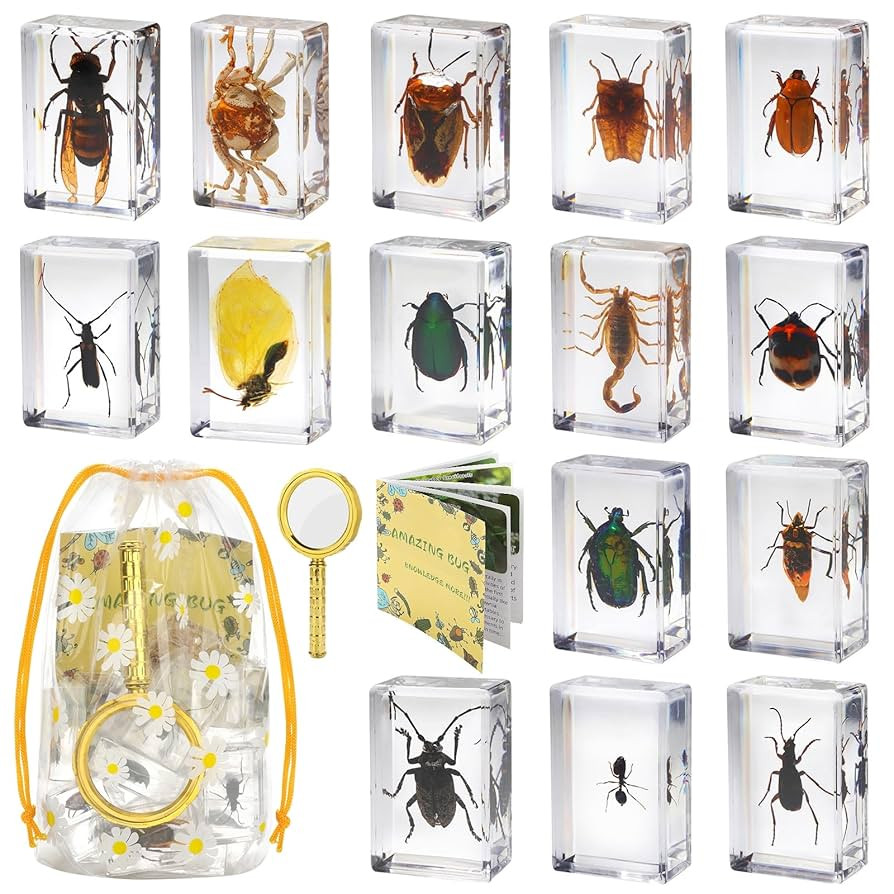 15 Real Insect Resin Specimens Set - Various Butterflies & Beetles for Science Education, Classro... | Amazon (US)