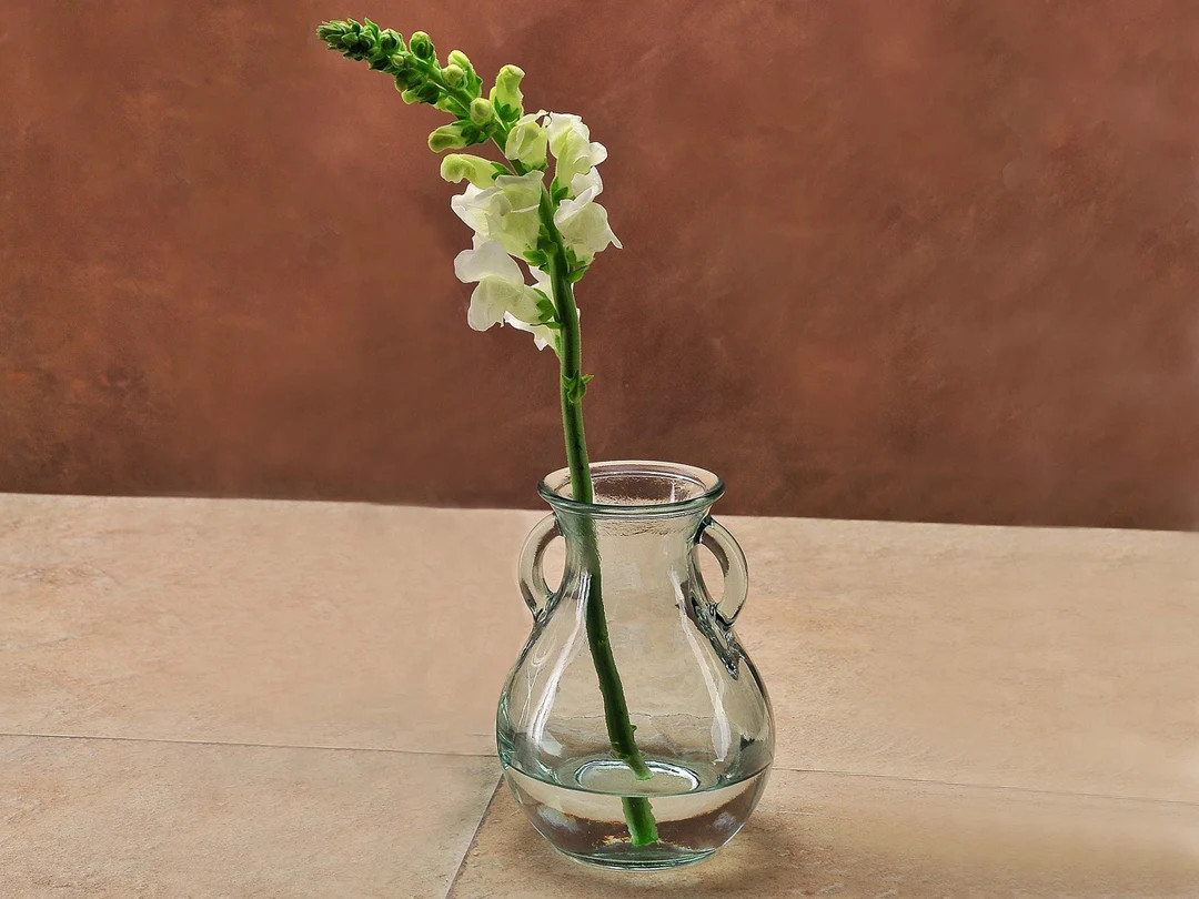 6 1/4 Small French Country Glass Vase - Etsy | Etsy (US)