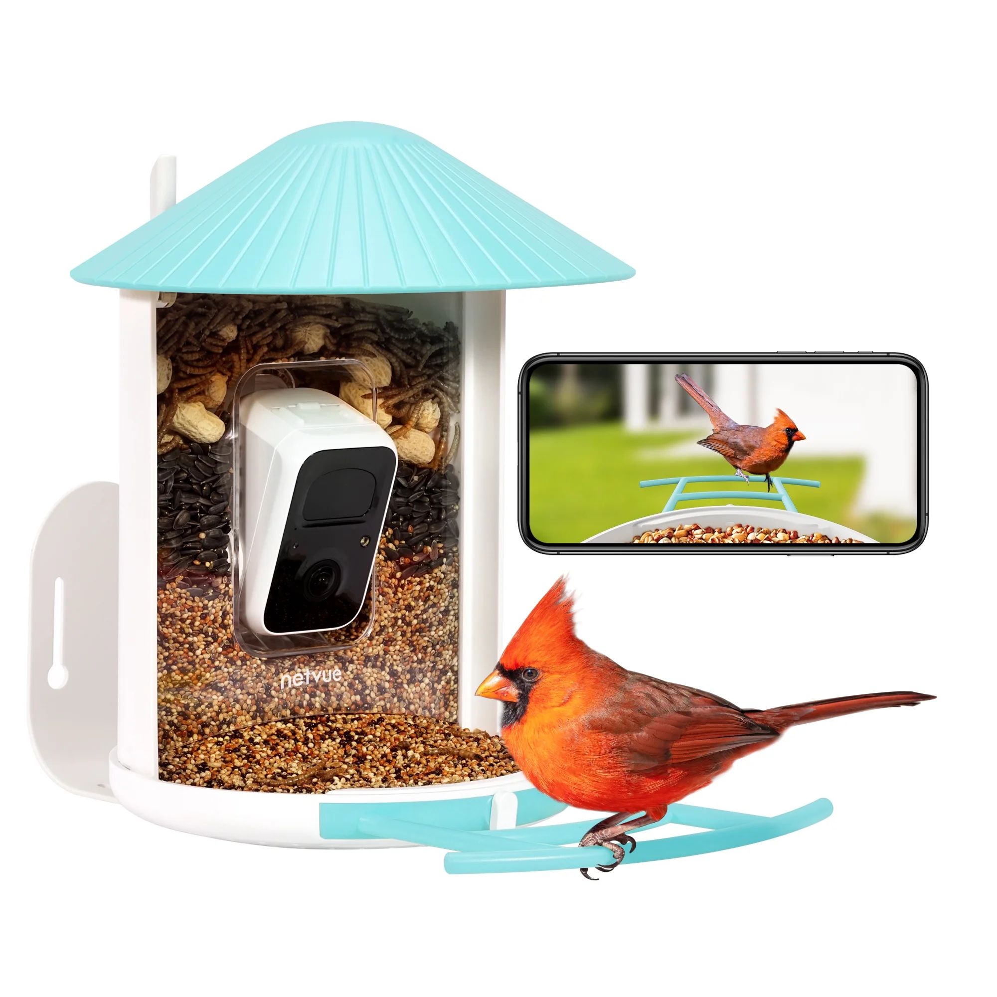 Birdfy Smart Bird Feeder with Camera for Bird Feeding and Watching - 1.5 lb Capacity, Blue | Walmart (US)
