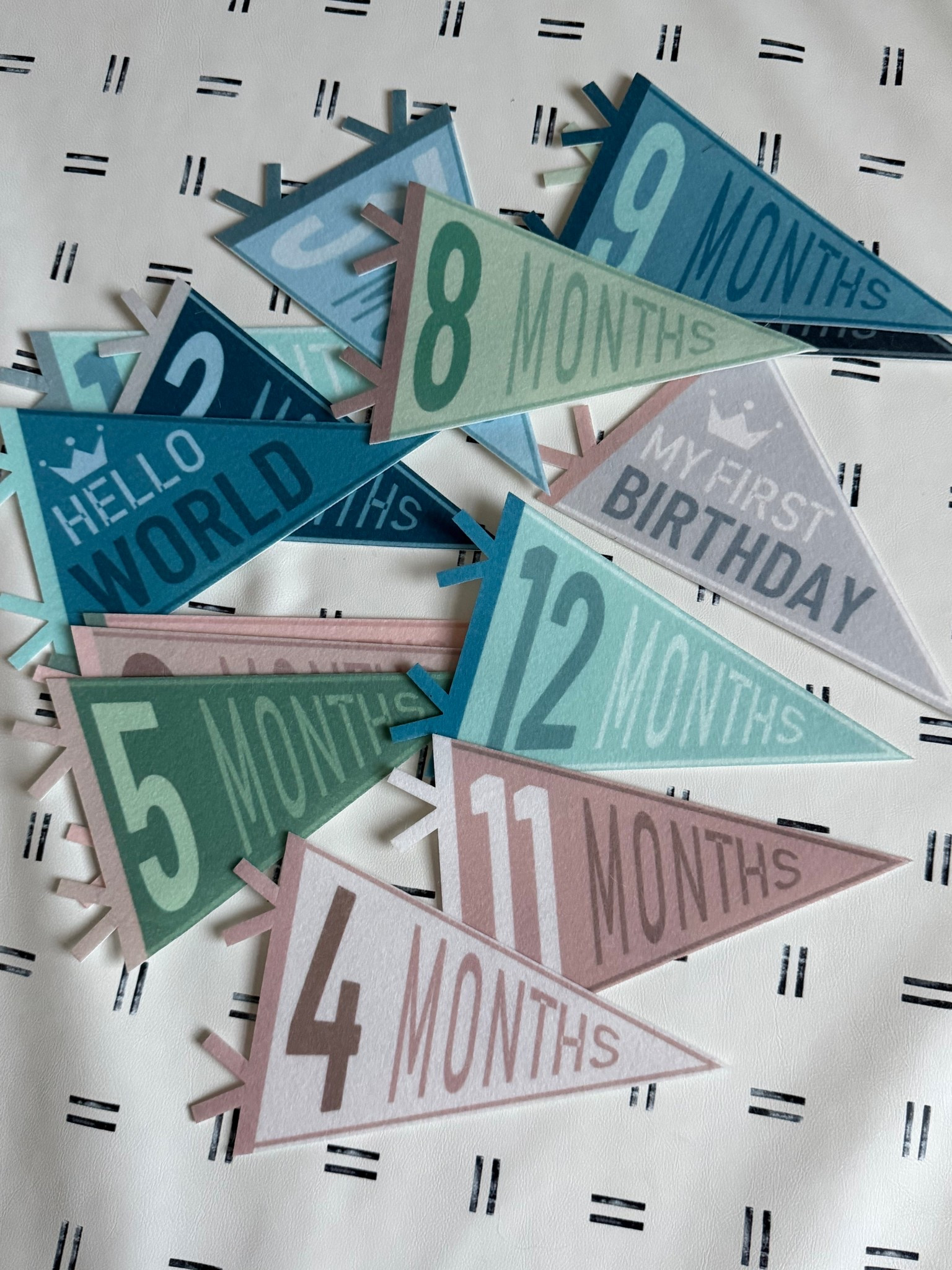 Monthly milestone photo props for babies

#LTKKids #LTKBaby #LTKdayinmylife