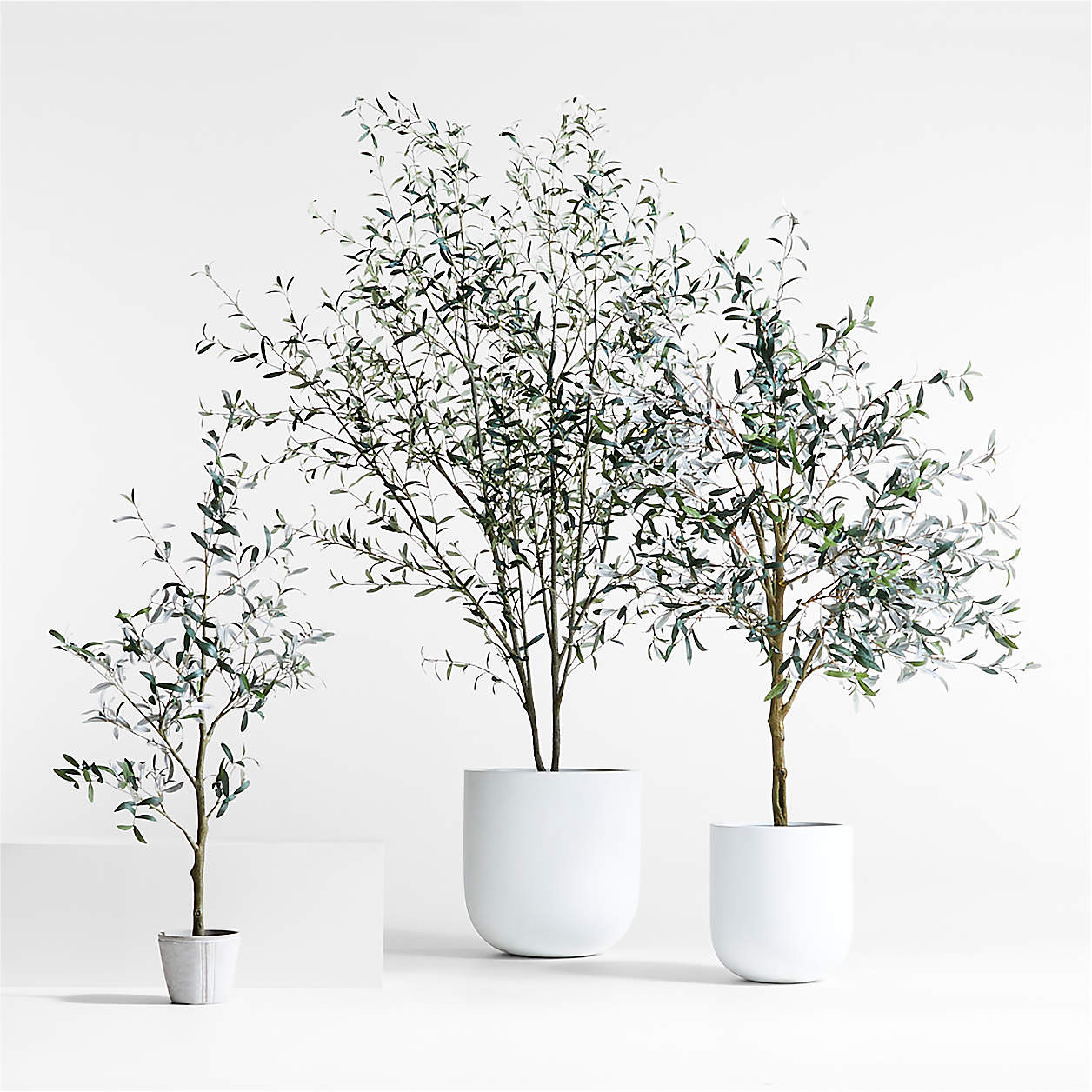 Potted Faux Olive Tree 9' + Reviews | Crate & Barrel | Crate & Barrel
