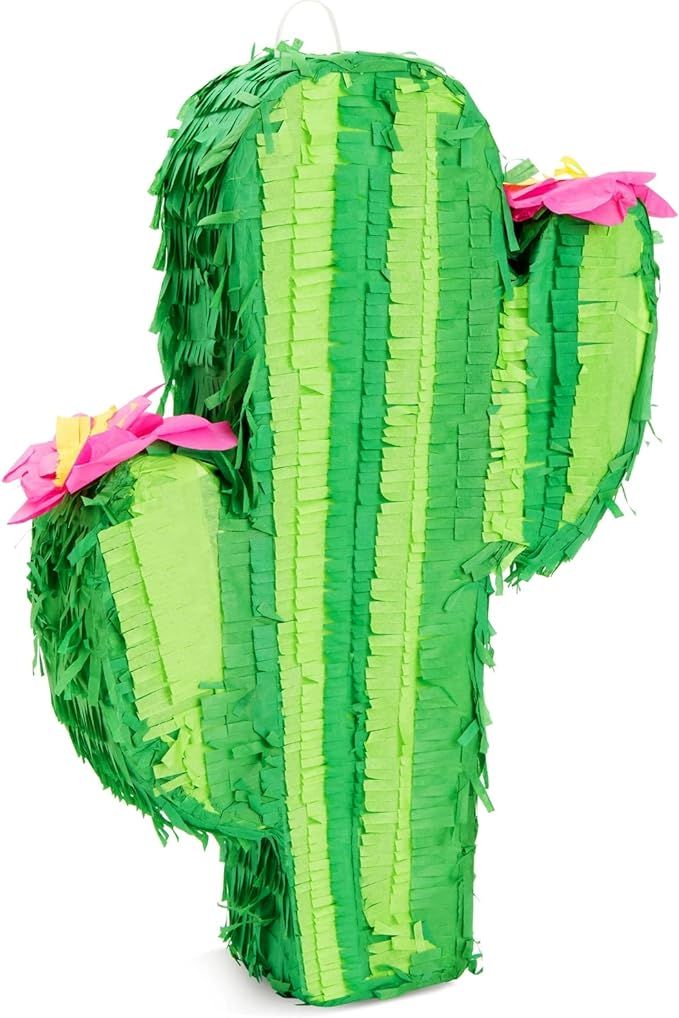 Cactus Pinata for Kids Birthday, Baby Shower, Cinco de Mayo, Mexican Fiesta Party Decorations (Sm... | Amazon (US)