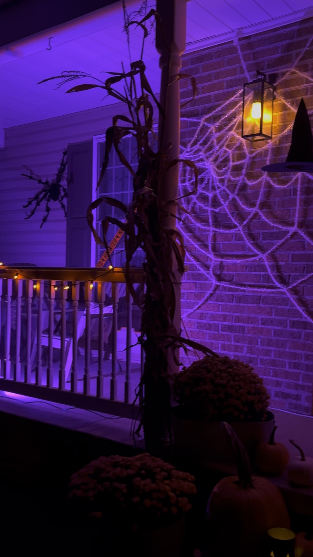 Halloween front porch! Halloween lights. Halloween decor. Halloween lighting. Led flood lights. 

#LTKSeasonal #LTKHalloween #LTKHome
