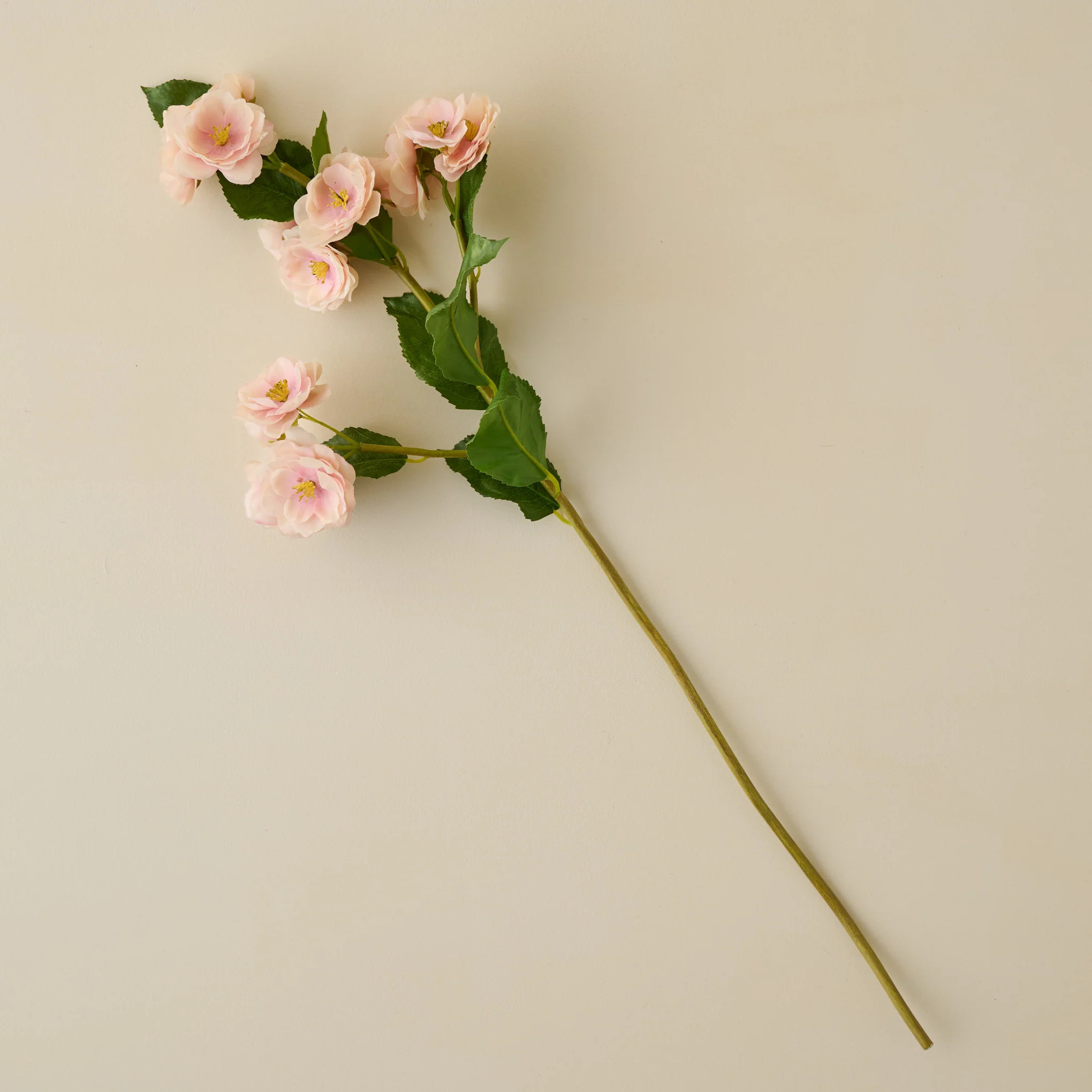 Peach Blossom Stem | Magnolia