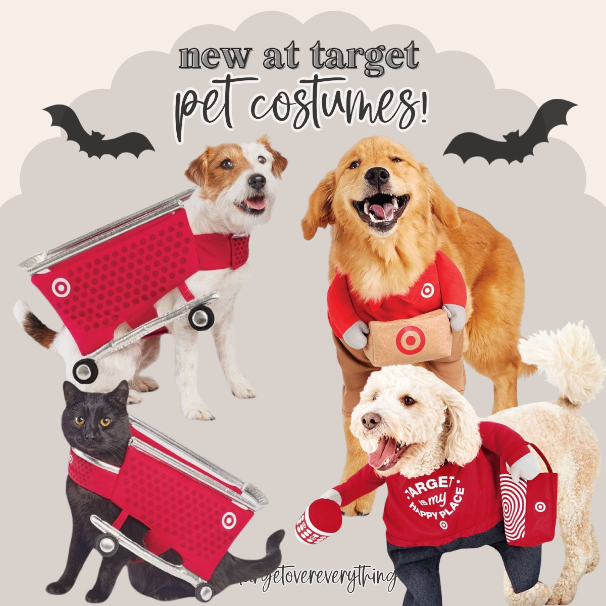 New Target pet costumes ❤️
