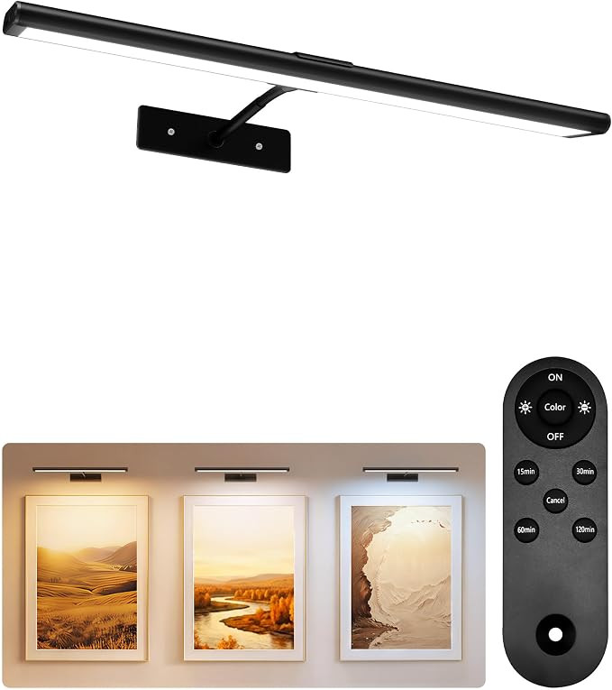 EZVALO Picture Light for Wall, 4800mAh 16'' Rechargeable Wireless IR Remote Built in Battery Ligh... | Amazon (US)