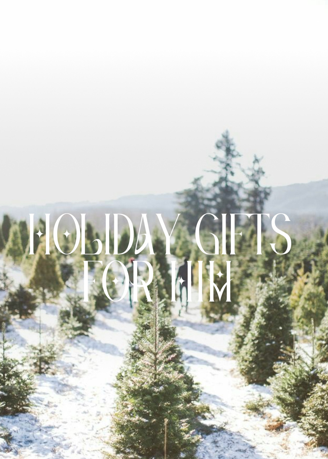 GIFTS FOR HIM 

#LTKfamily #LTKGiftGuide #LTKHoliday