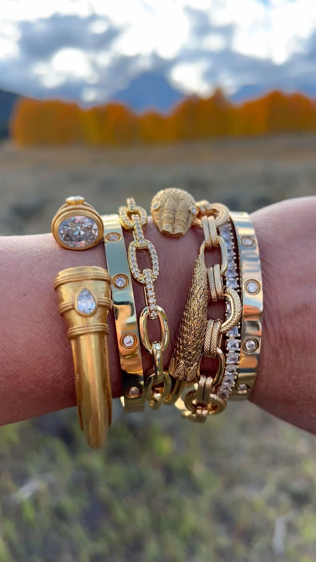 Gift guide:  Bracelet, gift guide, gift guides, gifts for her, gift guide for her, gift ideas for her, gift ideas, holiday gifts, holiday gifting, holiday gift, holiday gift guide, gift guides, gift, gifts, holiday season, holiday gifts 2026


#LTKSeasonal #LTKFindsUnder100 #LTKOver40 #LTKWedding #LTKSaleAlert #LTKFindsUnder50 #LTKU #LTKWorkwear #LTKTravel #LTKvlog