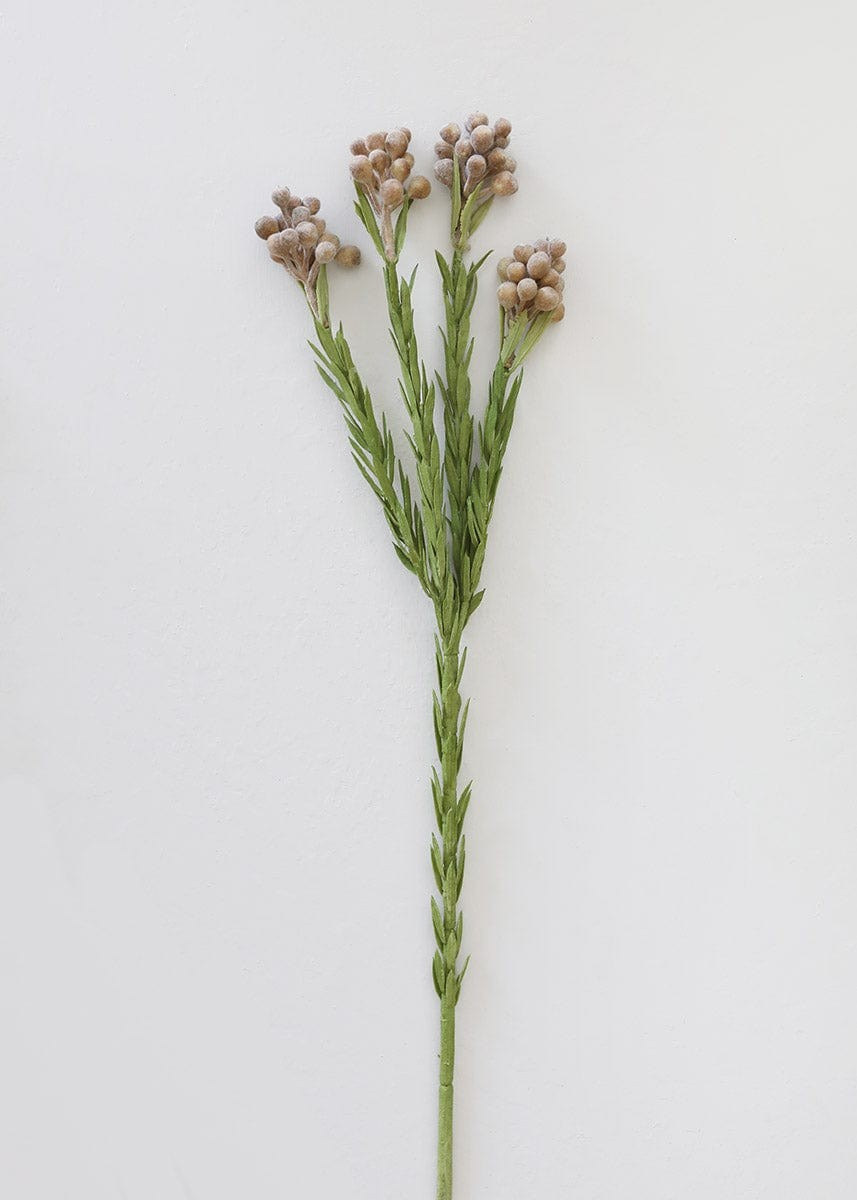 Artificial Brunia Berries in Taupe - 20 | Afloral (US)