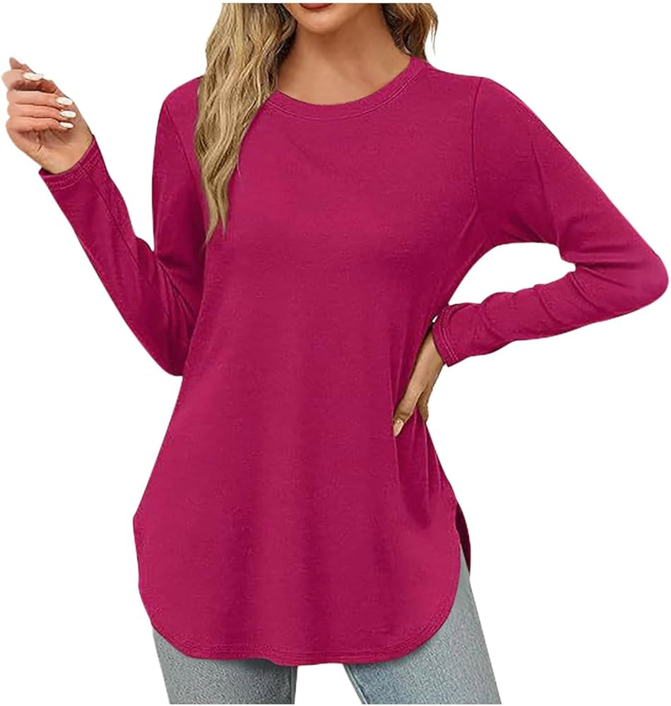 Women Casual Round Neck Long Sleeve Fit Tunic Top Baggy Comfy Blouse Without Pockets Tops Dressy | Amazon (US)