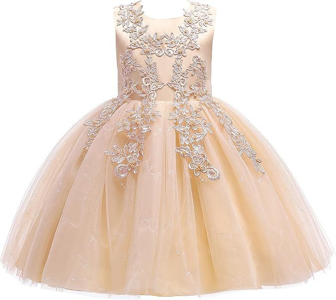 Weileenice 3-16Y Big Girls Lace Bridesmaid Dress Flower Kid Wedding Ball Gown | Amazon (US)