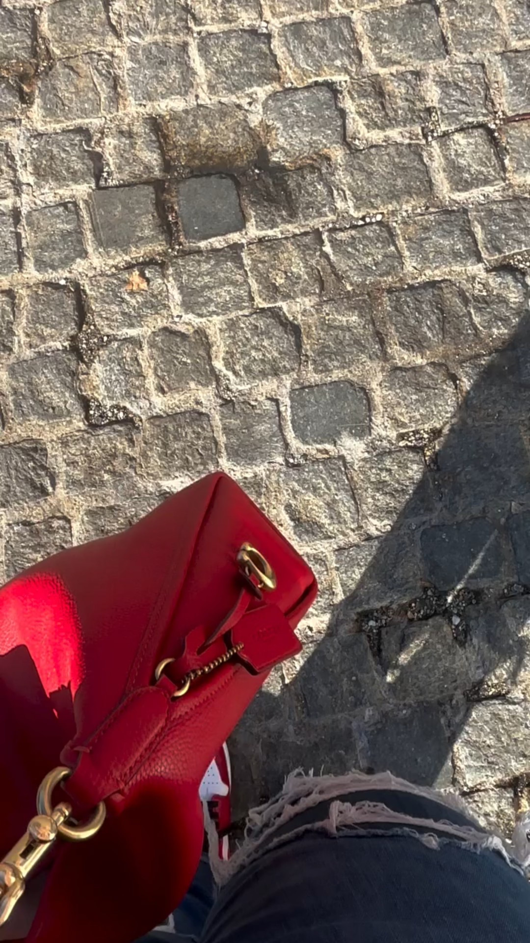 Stepping into this holiday feeling so grateful. I’m officially in the holiday spirit and would like to spread some cheer 🎄 So, I’ve decided to have a GIVEAWAY 🎁 

I need you to help me decide what to giveaway MAKEUP 💄 or VINYL 🎼? 

Vote 🗳️

#christmasishere #christmasgiveaway #holidayspirit🎄 #makeupgiveaway #vinylmeplease

#LTKHoliday #LTKdayinmylife #LTKootd