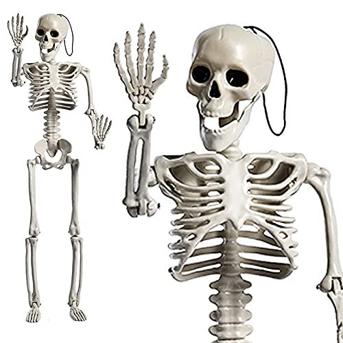 24 Inches Halloween Skeleton, LED Light Up Glowing Eyes Pose-N-Stay Halloween Skeleton Full Body Posable Movable Jonints for Halloween Decoration | Amazon (US)