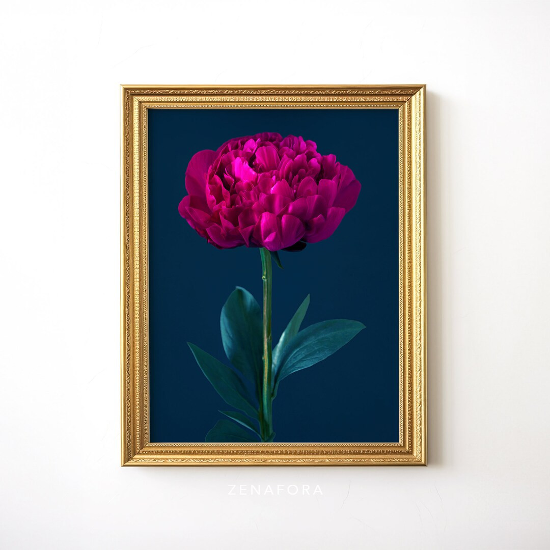 Jewel Tone Peony Print, Printable Poster, Large Flower Print, Peony Wall Art, Botanical Print, Be... | Etsy (US)