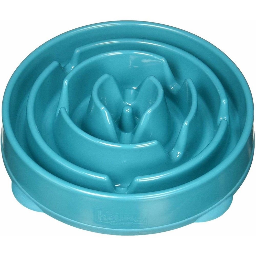 Outward Hound Fun Feeder Slo-Bowl For Dogs - L - Turqoise | Target