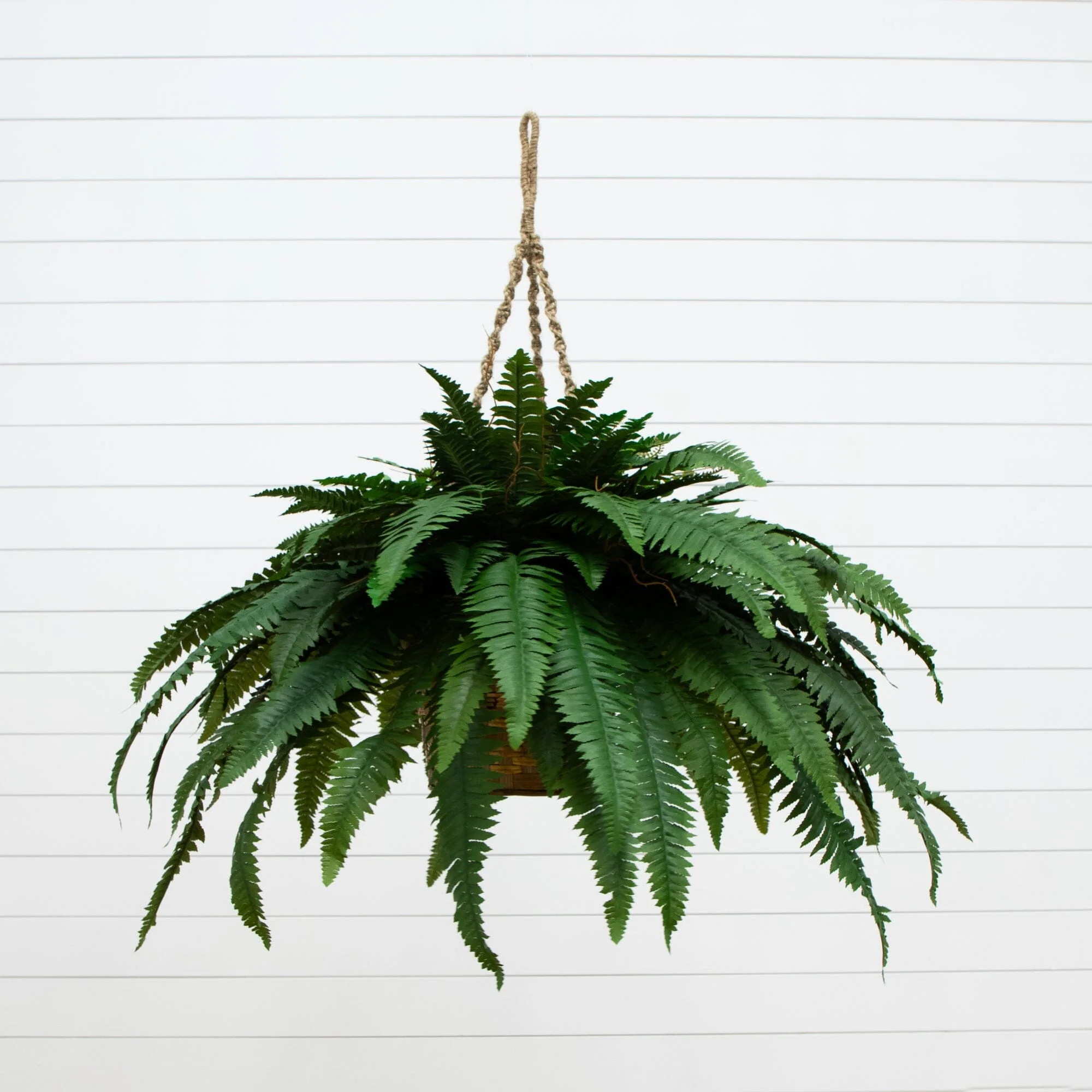 Double Giant Boston Fern Hanging Basket | Nearly Natural | Nearly Natural