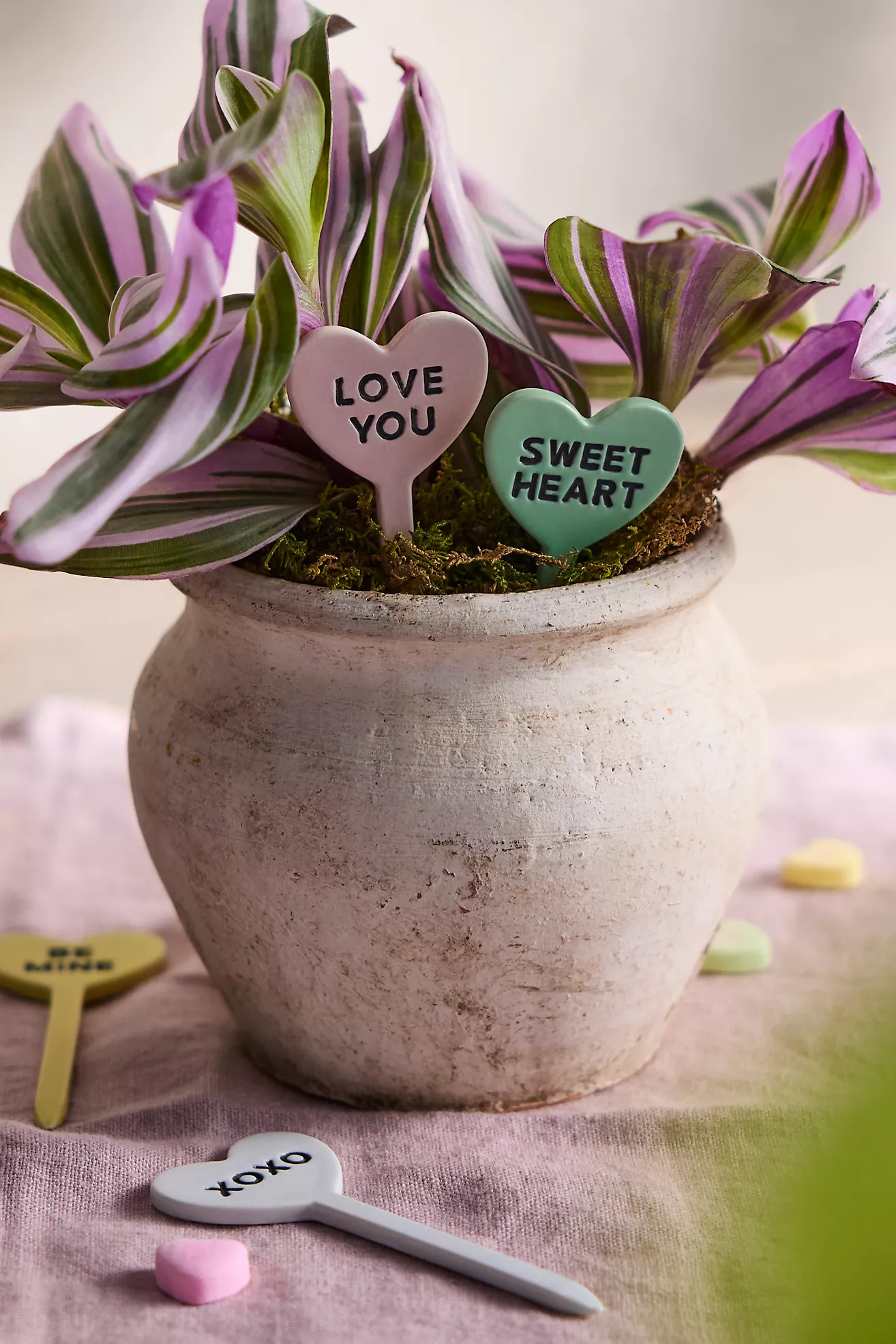 Conversation Heart Plant Stakes, Set of 4 | Anthropologie (US)