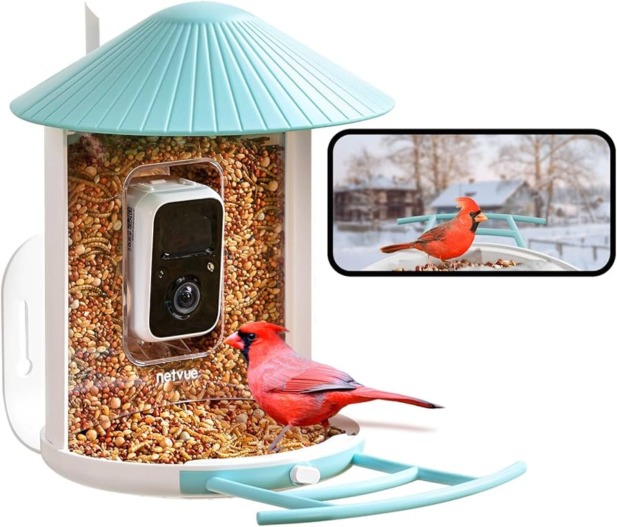 NETVUE Birdfy Lite - Smart Bird Feeder with Camera, Bird Watching Camera, Auto Capture Bird Video... | Amazon (US)