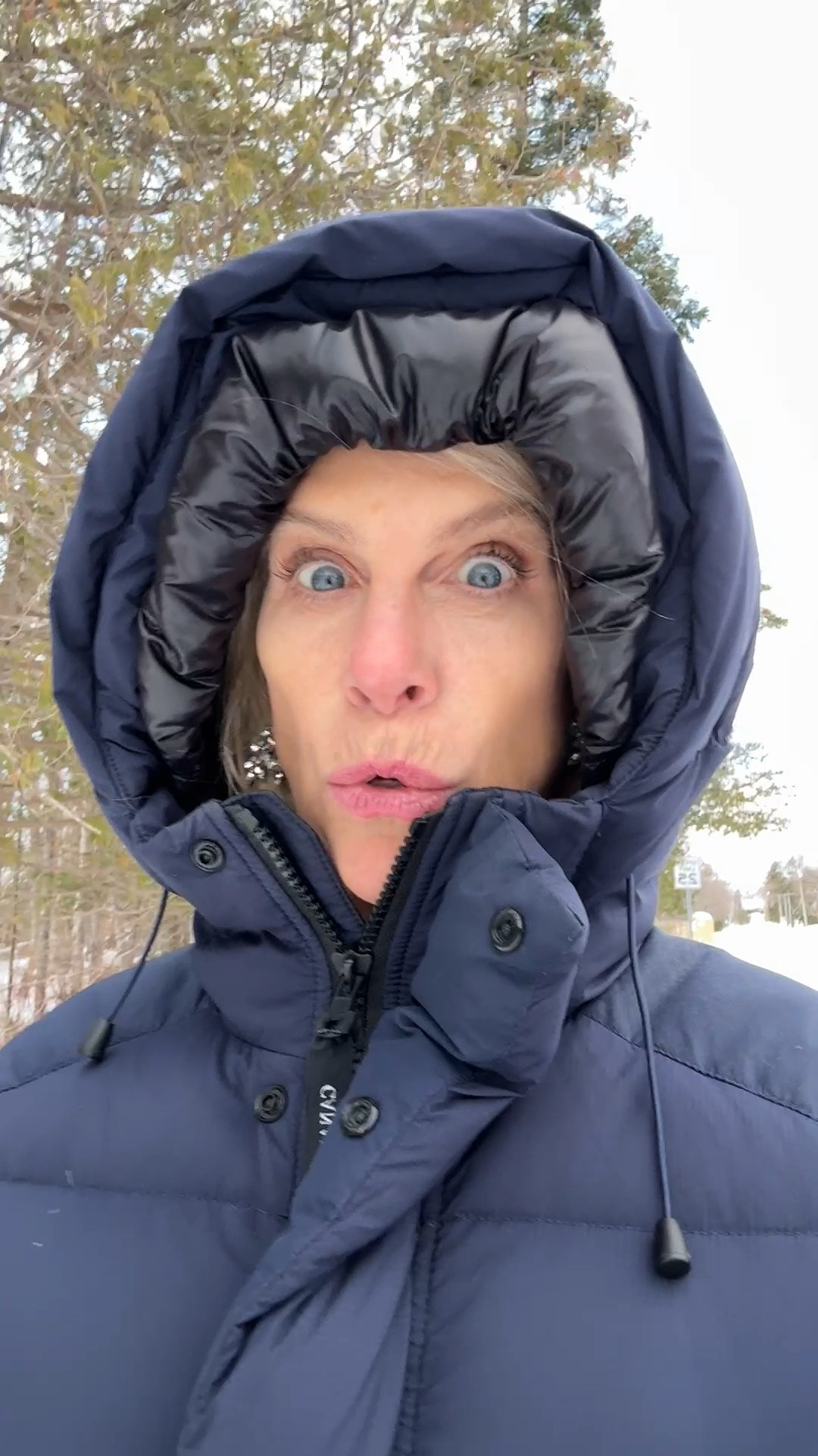 Great coat for winter is a must. I found an expensive one but I know the less expensive one from Quince is warm too. Bing’s coat is also tagged. He adores it :)

#LTKSeasonal #LTKOver40 #LTKdayinmylife