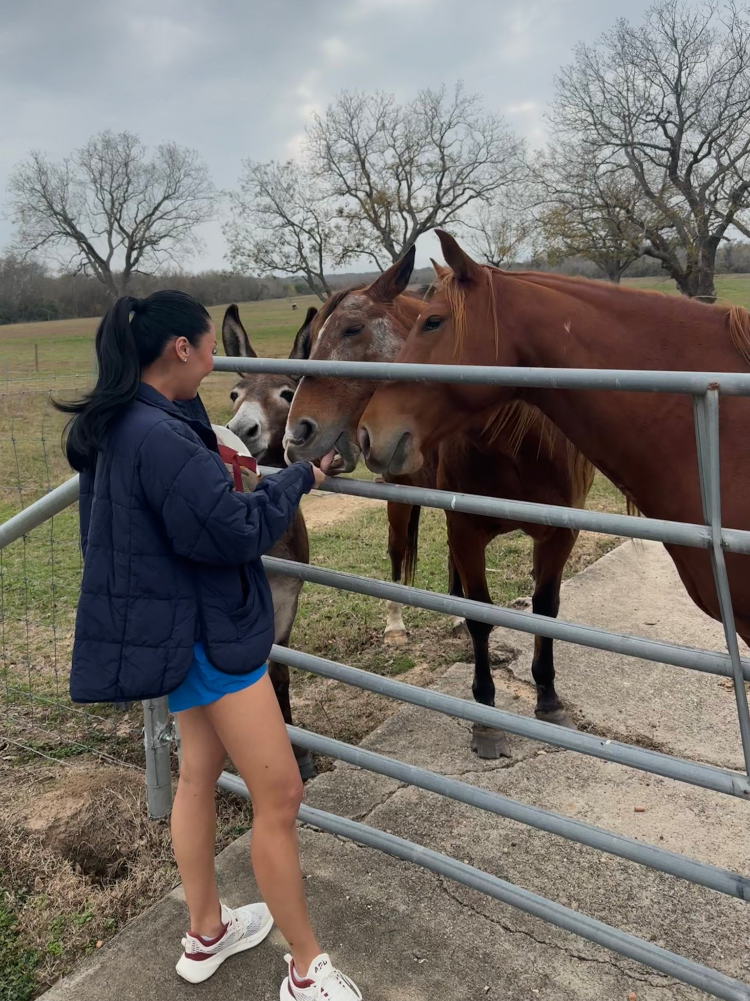 Weekend out at the ranch with the animals 

#LTKSaleAlert #LTKootd #LTKActive