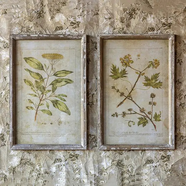Tranquil Beauty Framed Botanical Prints Set of 2 | Antique Farm House