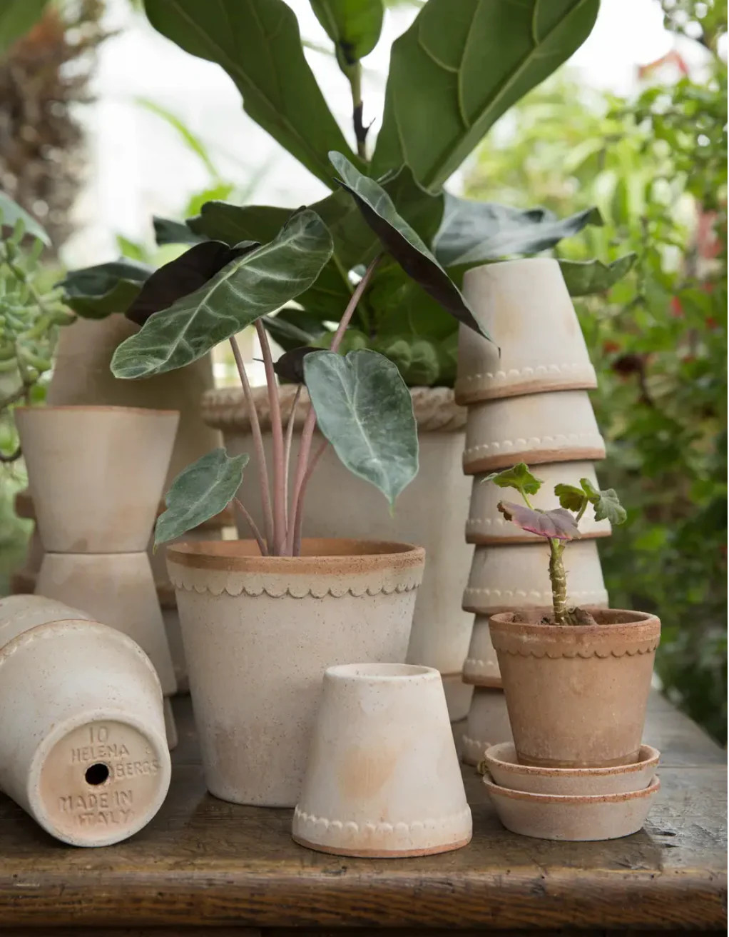 Helena Scalloped Pot | Cottage and Key