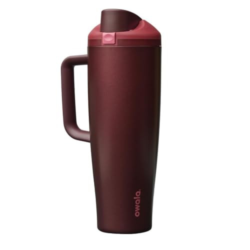 Owala FreeSip Tumbler Insulated Stainless Steel Water Bottle with Built-in Straw and Side Handle, For Travel, Work, School, and Sports, 40oz, BPA Free, Leak Proof, Black Cherry | Amazon (US)