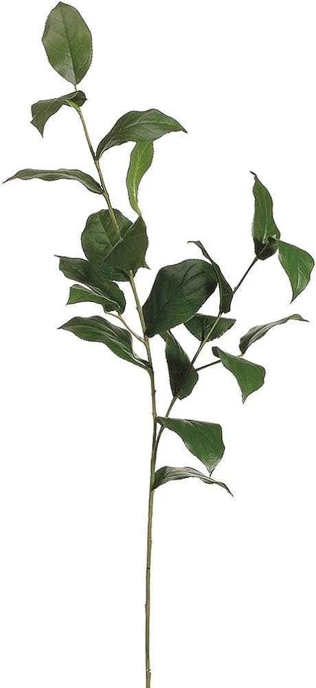 36" Silk Lemon Leaf Stem -Green (pack of 12) | Amazon (US)