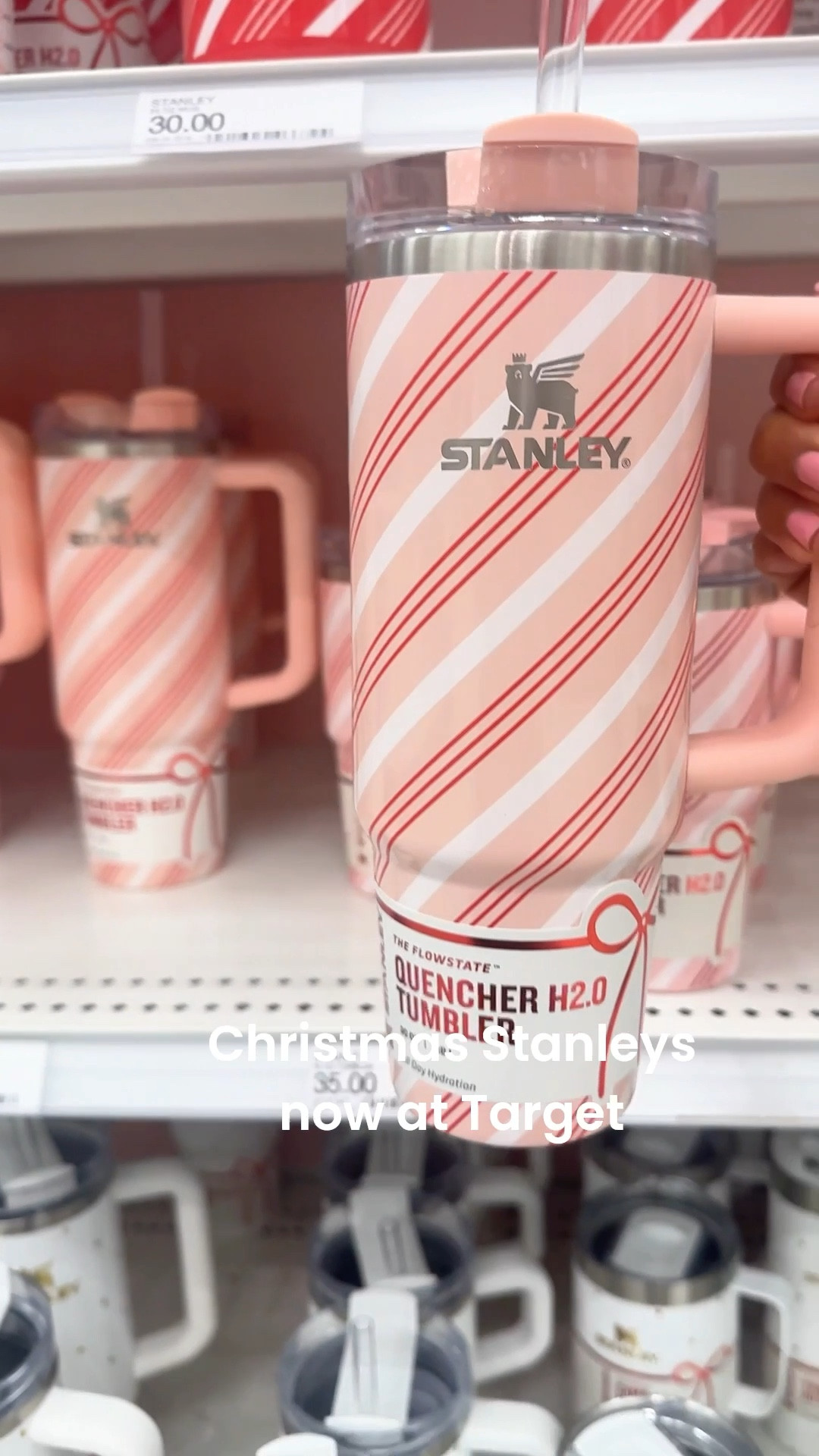 Christmas Stanley tumblers are now available!! Get yours before they sell out! #christmas #stanley #christmasgifts #giftguide 

#LTKHoliday #LTKGiftGuide #LTKSeasonal