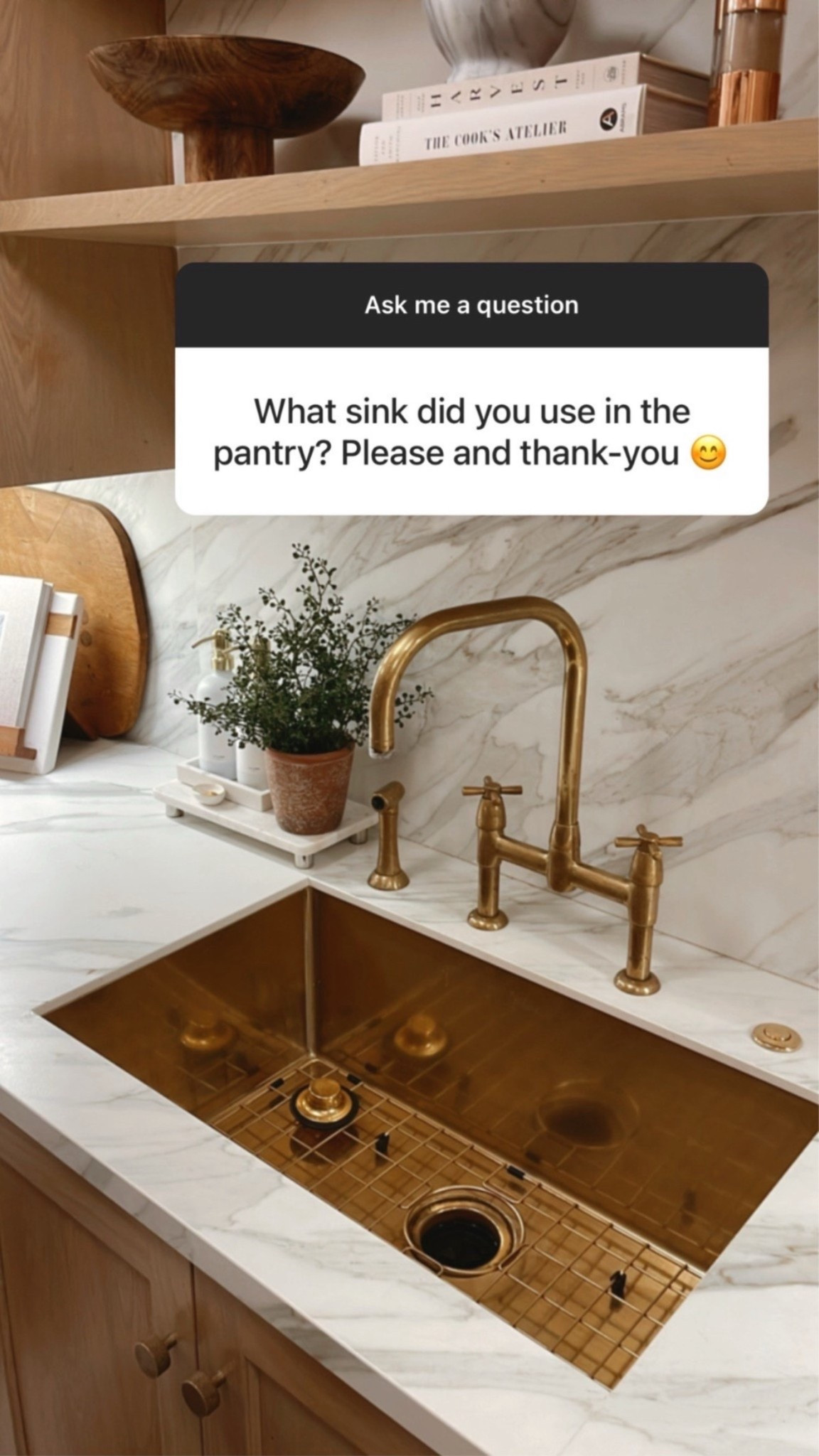 Pantry sink and faucet details 