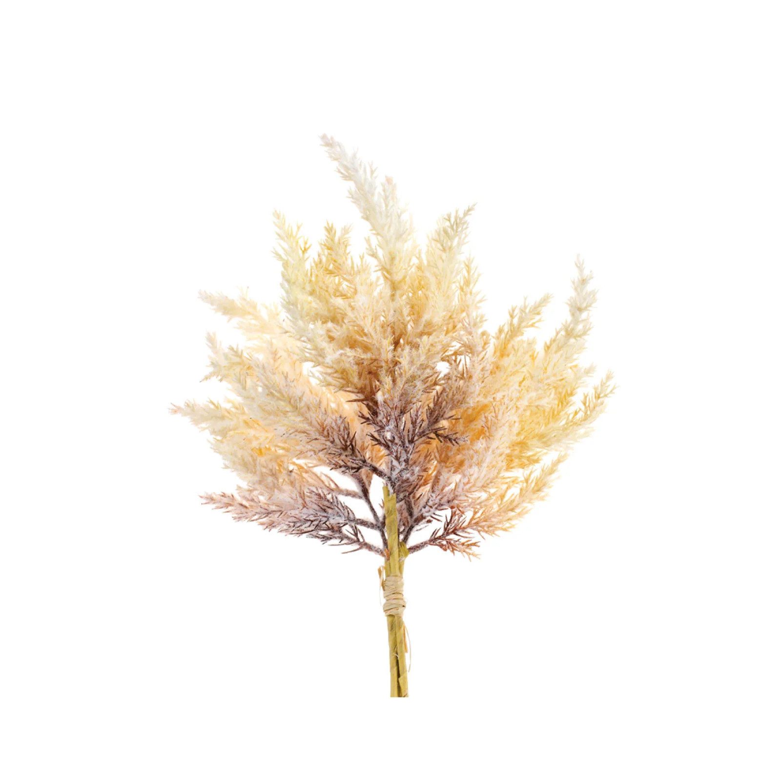 Astilbe Bush Pick | Brooke and Lou