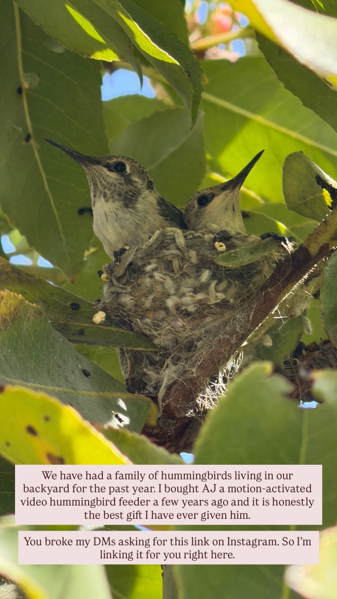 #LTKSeasonal #LTKHome