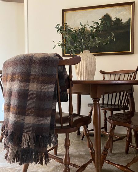 This throw just arrived and I’m in love! It’ll be perfect for my green, navy, and brown moody holiday look this year. And it’s on sale for $25

Painting is a DIY- linked similar (both on canvas to buy and a digital print to frame yourself). Dining set is vintage

Casual dining room. Moody vintage dining room. Collected furniture. Plaid holiday throw blanket. Holiday home decor 

#LTKfindsunder100 #LTKHoliday #LTKhome
