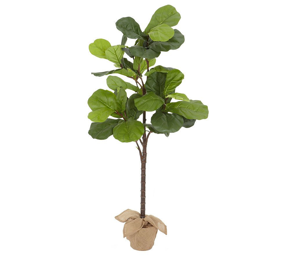 Faux Potted Fiddle Leaf Fig Tree, Medium, 7' | Pottery Barn (US)