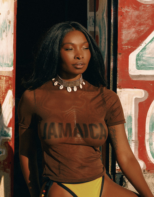 MESH COLLECTORS TShirt CHOCOLATE READY TO SHIP — Sammy B. | sammy b