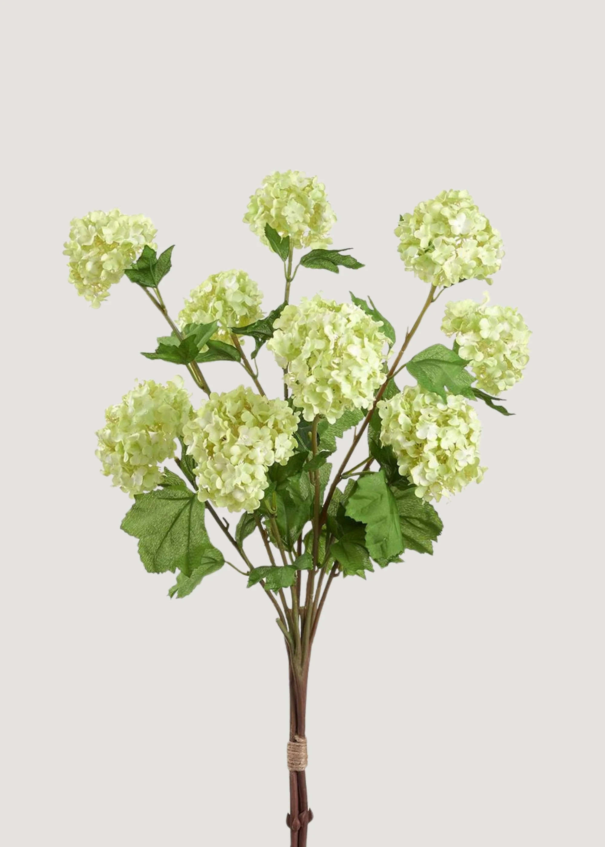 Lime Green Snowball Bundle | Realistic Faux Flowers | Afloral | Afloral