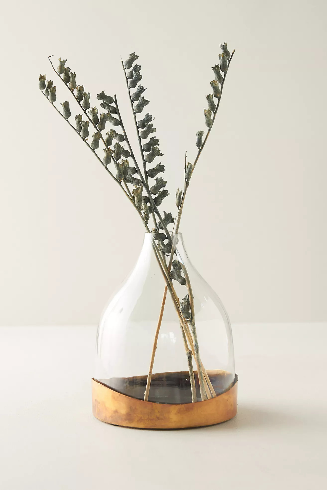 Cloche Vase | Anthropologie (US)