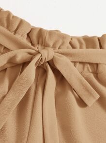 SHEIN Paperbag Waist Self Belted Shorts
   SKU: sS2001090010142979      
          (9999+ Reviews... | SHEIN