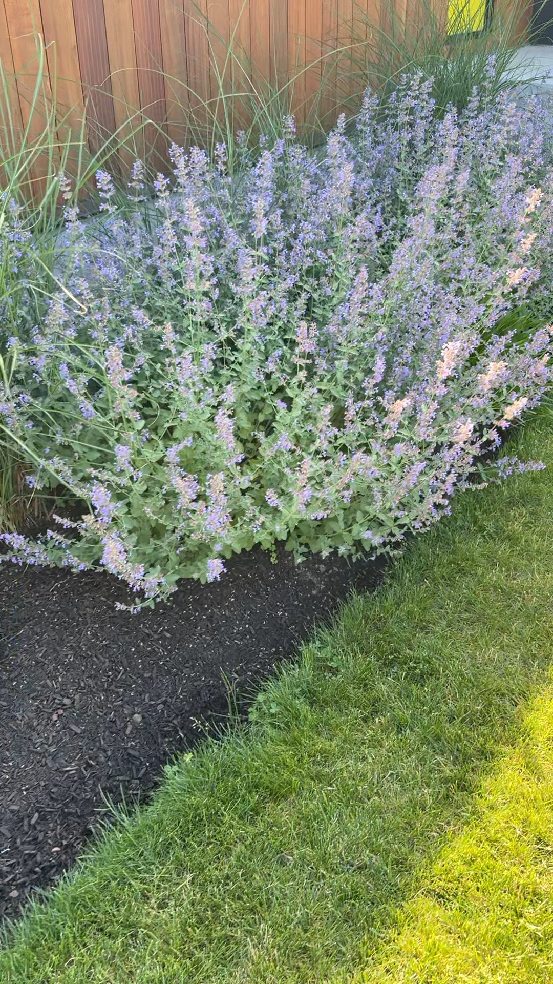 #AD the nice weather is finally sticking around. we partnered with @lowes for a few garden updates including some new plants and a bark mulch refresh!

#LTKHome
