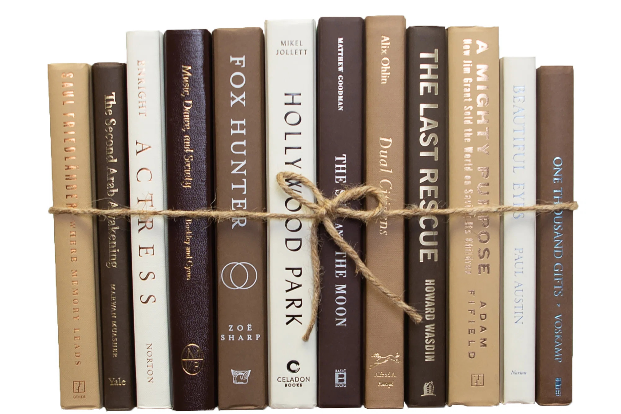 Entertainment Decorative Book | Wayfair North America