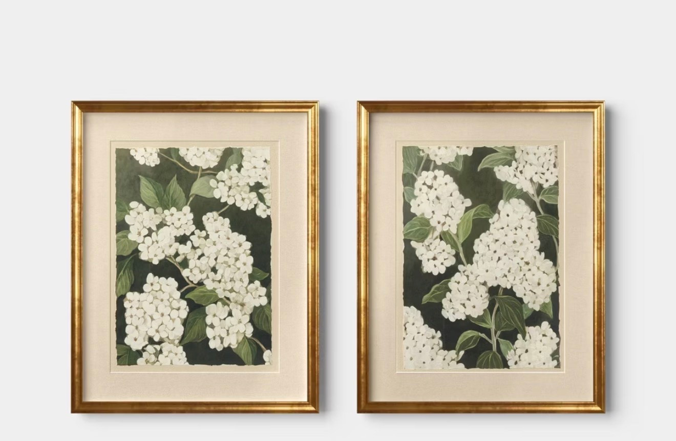 16"x20" Set of 2 Floral Framed Wall Art - Threshold™

#LTKmorningroutine #LTKHome #LTKSaleAlert