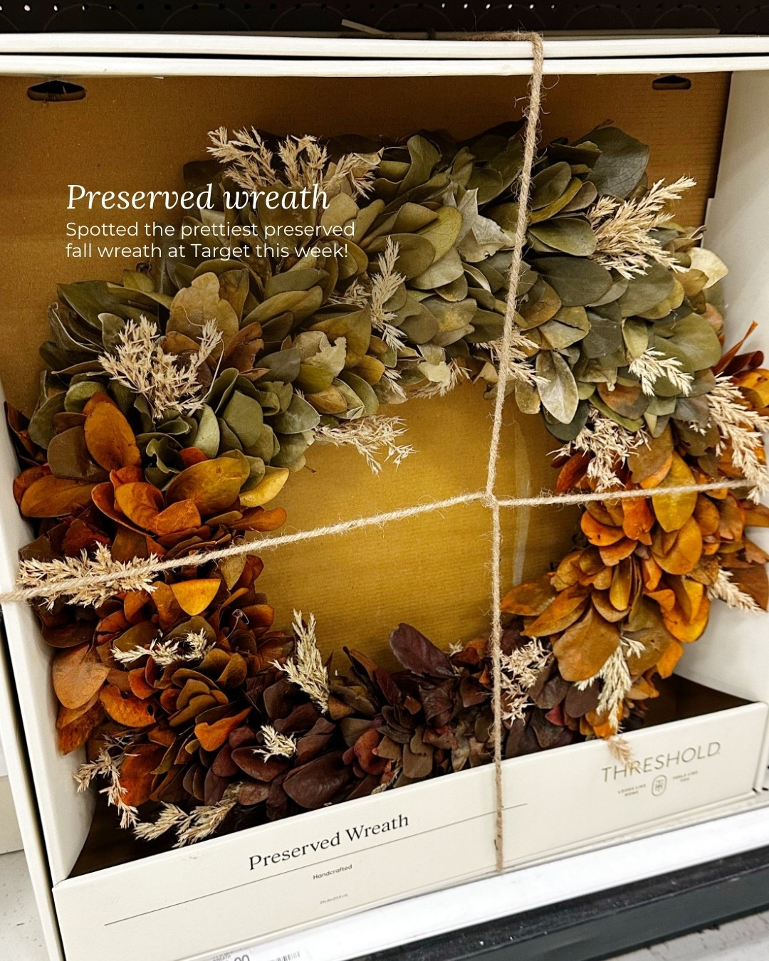 Preserved wreath I spotted at Target! So beautiful in person. Comparable to the more expensive pottery barn version 

#LTKHome #LTKSeasonal